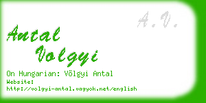 antal volgyi business card