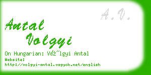 antal volgyi business card